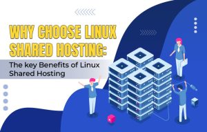 Read more about the article Why Choose Linux Shared Hosting: The key Benefits of Linux Shared Hosting
